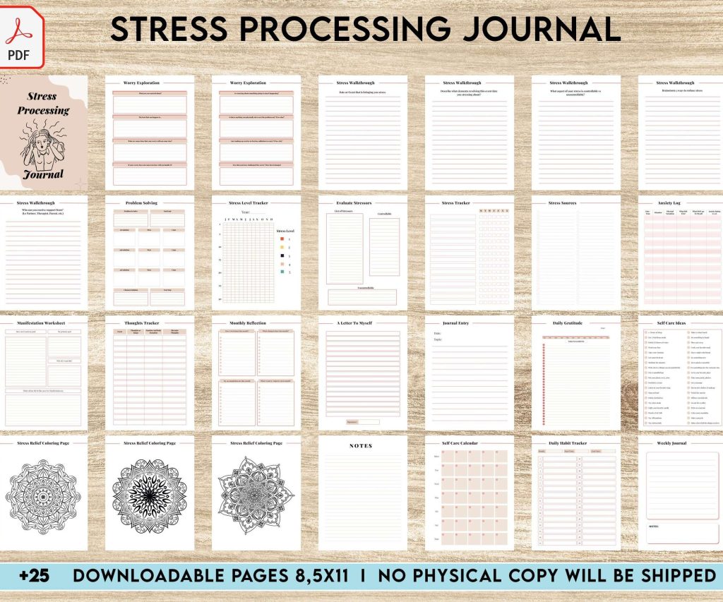 Stress Processing Journal Pages for daily self care, mental health, and emotion list with breakdown worksheets, PDF Printable, 8,5×11″ A4 size