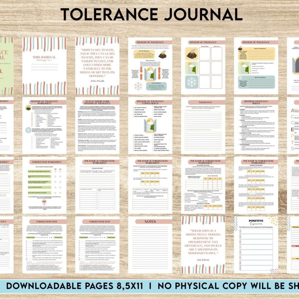 Tolerance Journal, window of tolerance, therapy journal , self discovery, self esteem, Canva Editable Templates