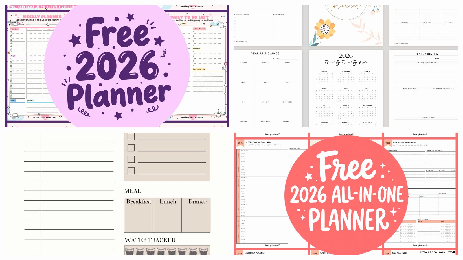 Best 2026 Daily Planners: Complete Comparison Guide