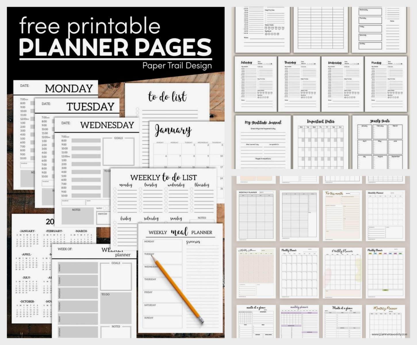 Custom Monthly Planner: Create Your Perfect Calendar