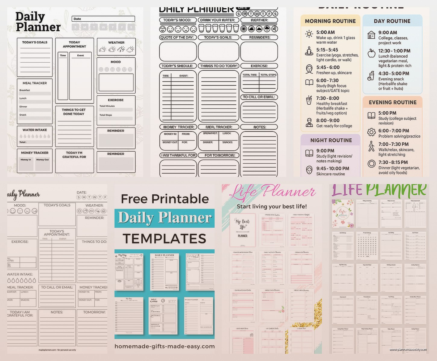 Daily Life Planner: Best Holistic Planning Systems