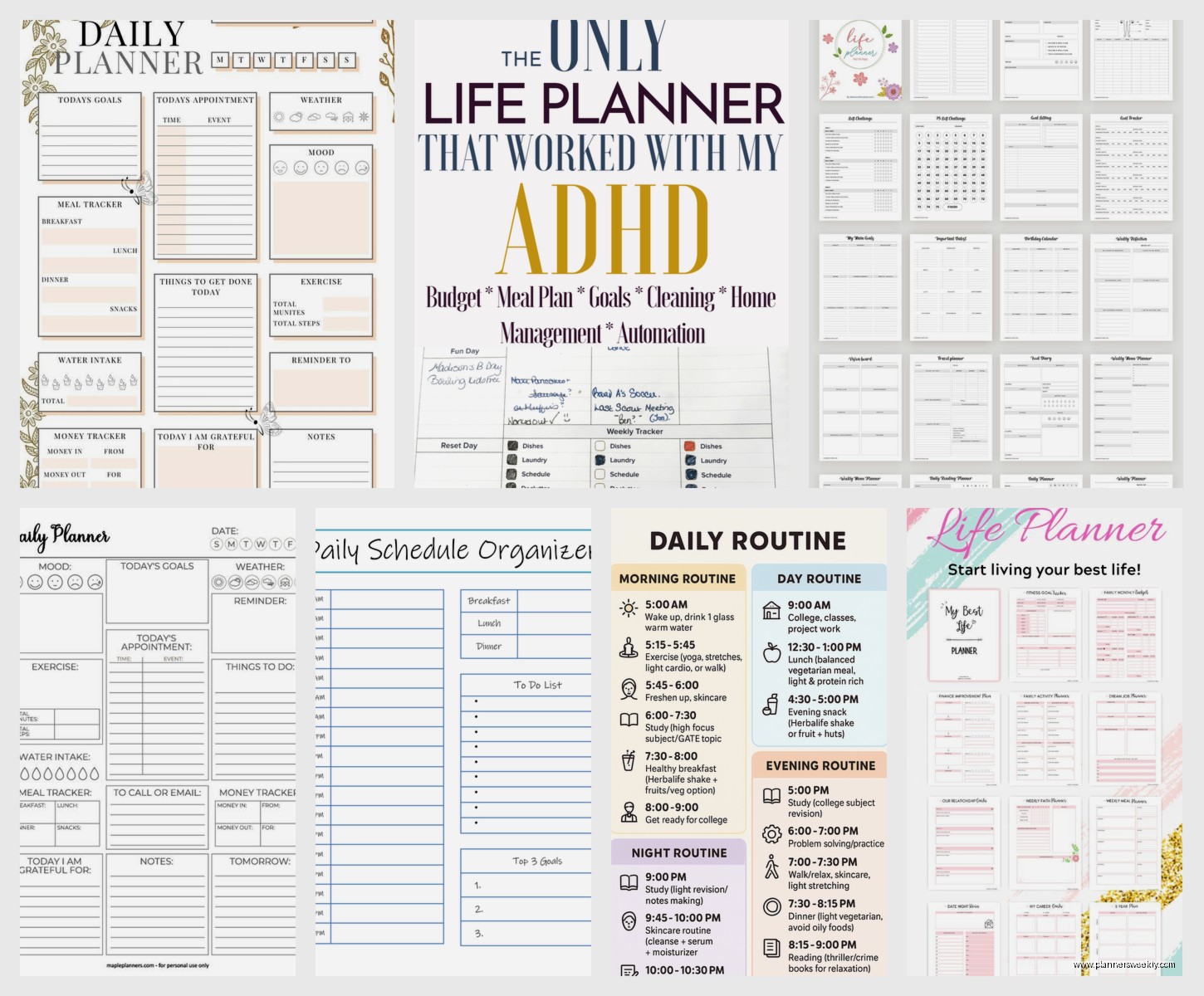 Daily Life Planner: Best Holistic Planning Systems