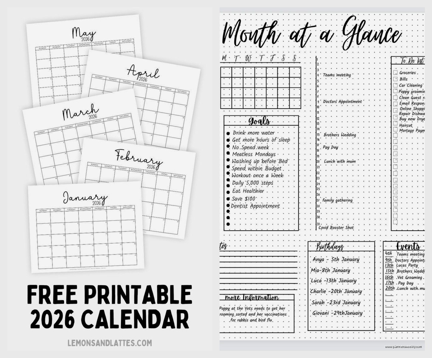 12 Month Planner: Best Annual Planning Options