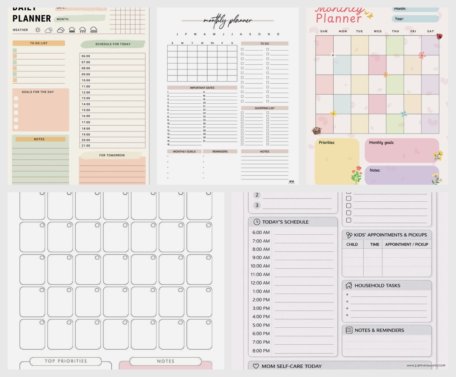 Daily Monthly Planner: Best All-in-One Options