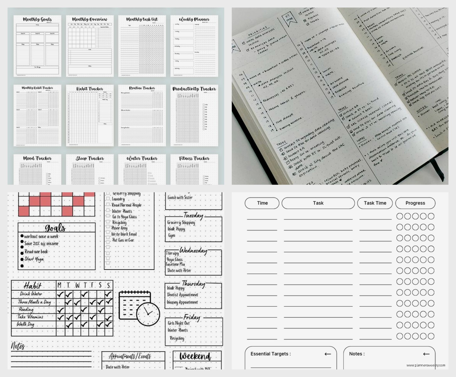 Daily Planner Journal: Best Options for Planning & Reflection