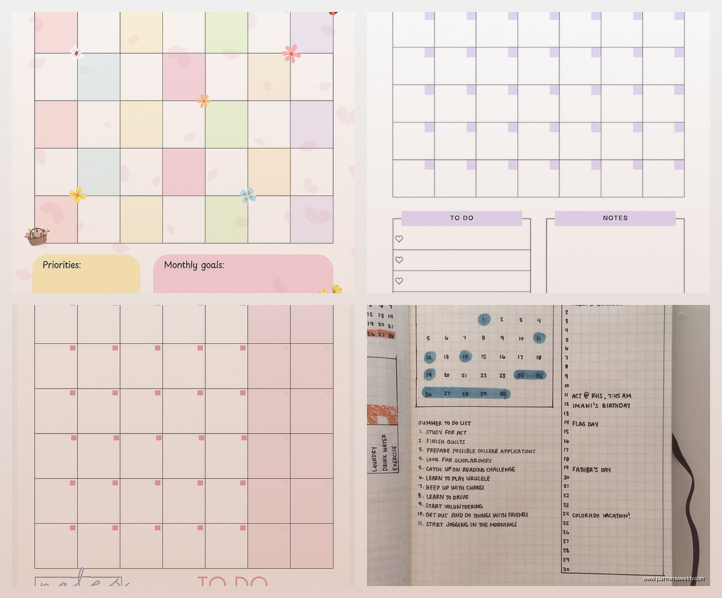Monthly Planner with Notes Pages: Best Options