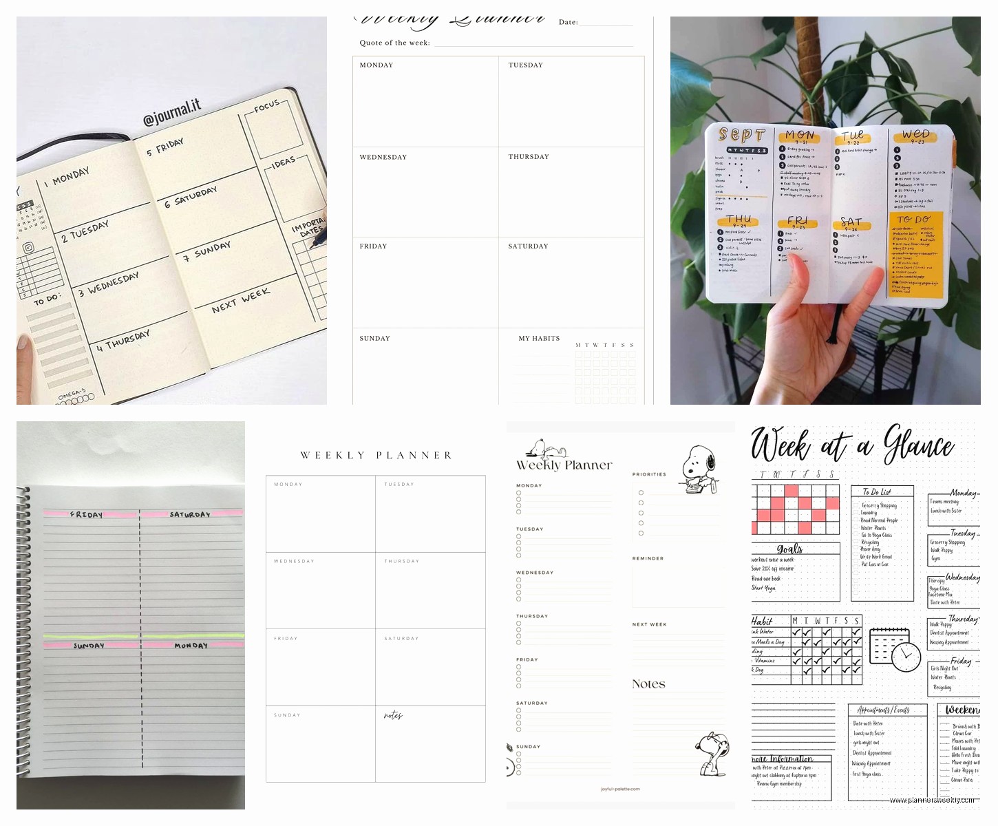 Weekly Planner Notebook: Best Journal Options