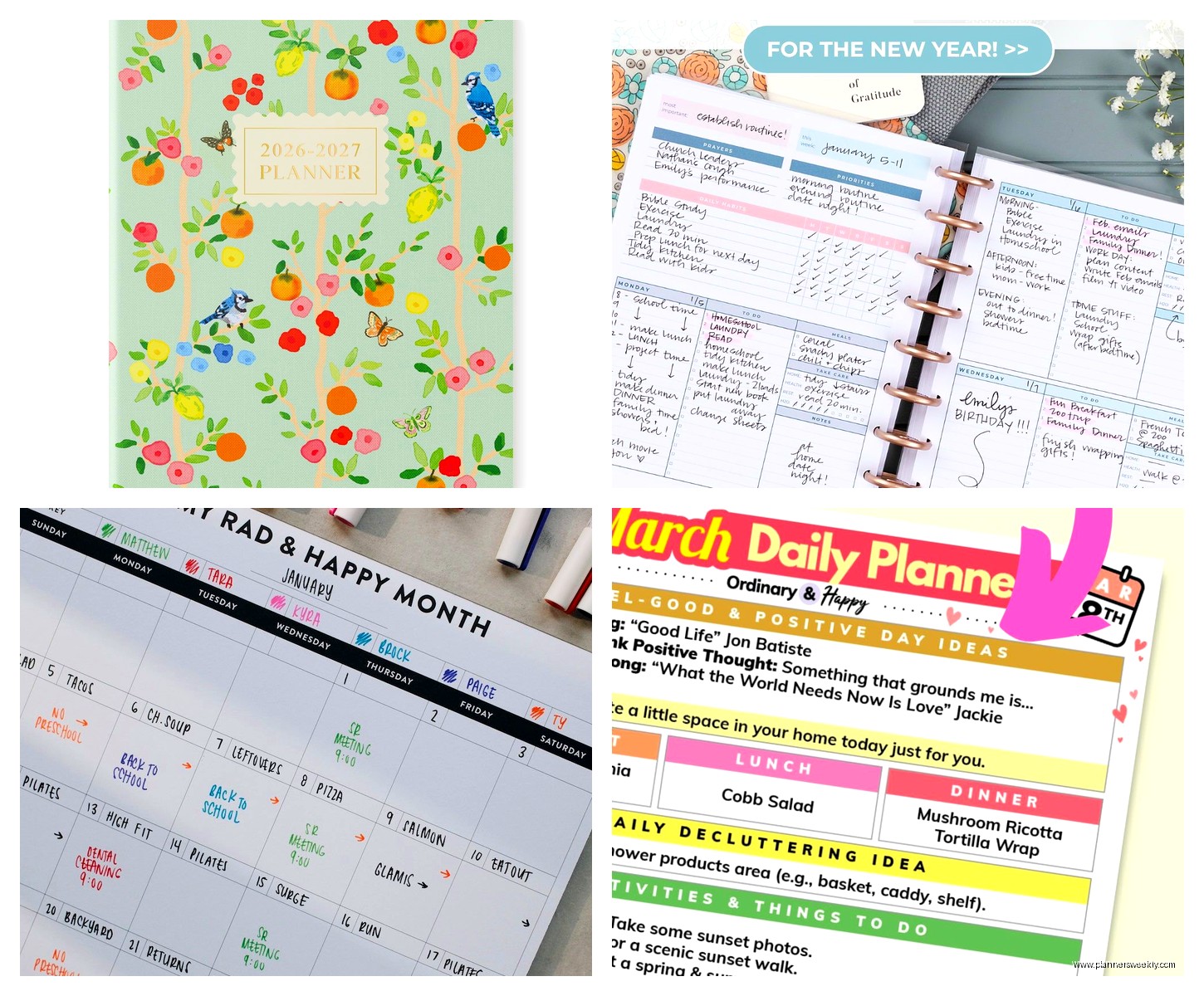 18 Month Planner: Extended Planning Solutions Guide