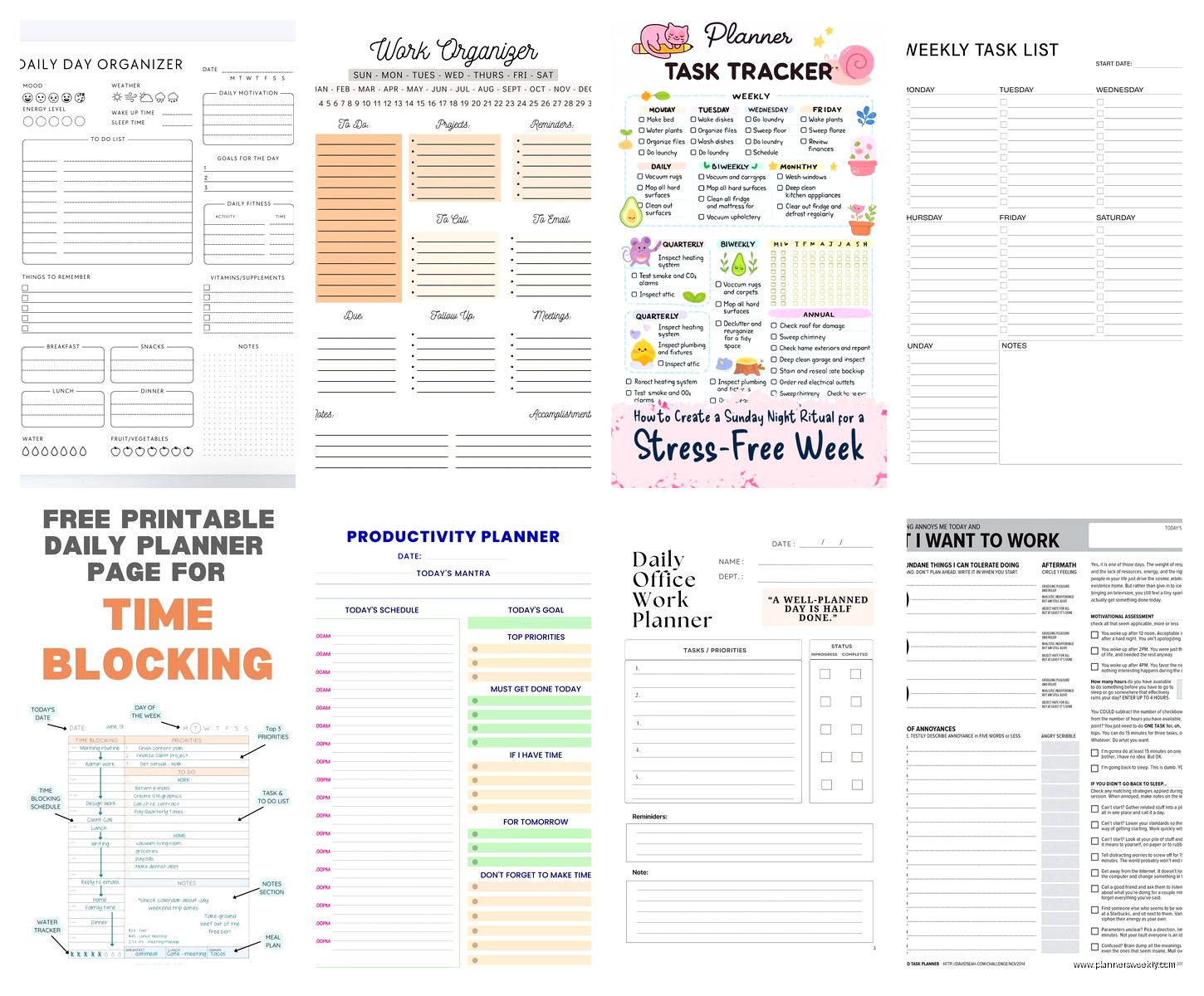 Best Daily Task Planners: Productivity Tools & Reviews